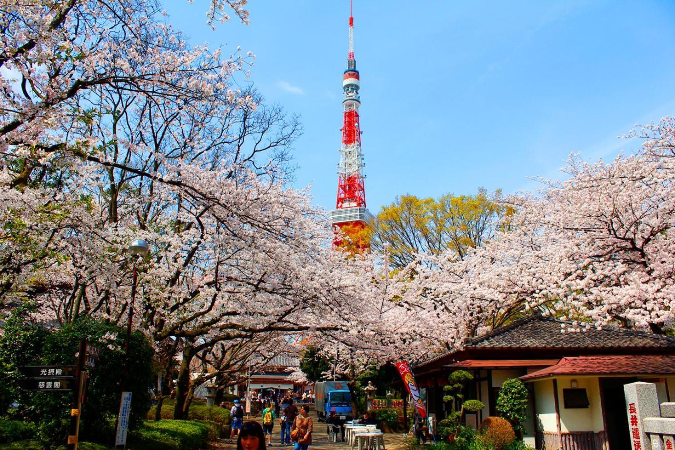Rose Stay Tokyo Shiba Park Luaran gambar