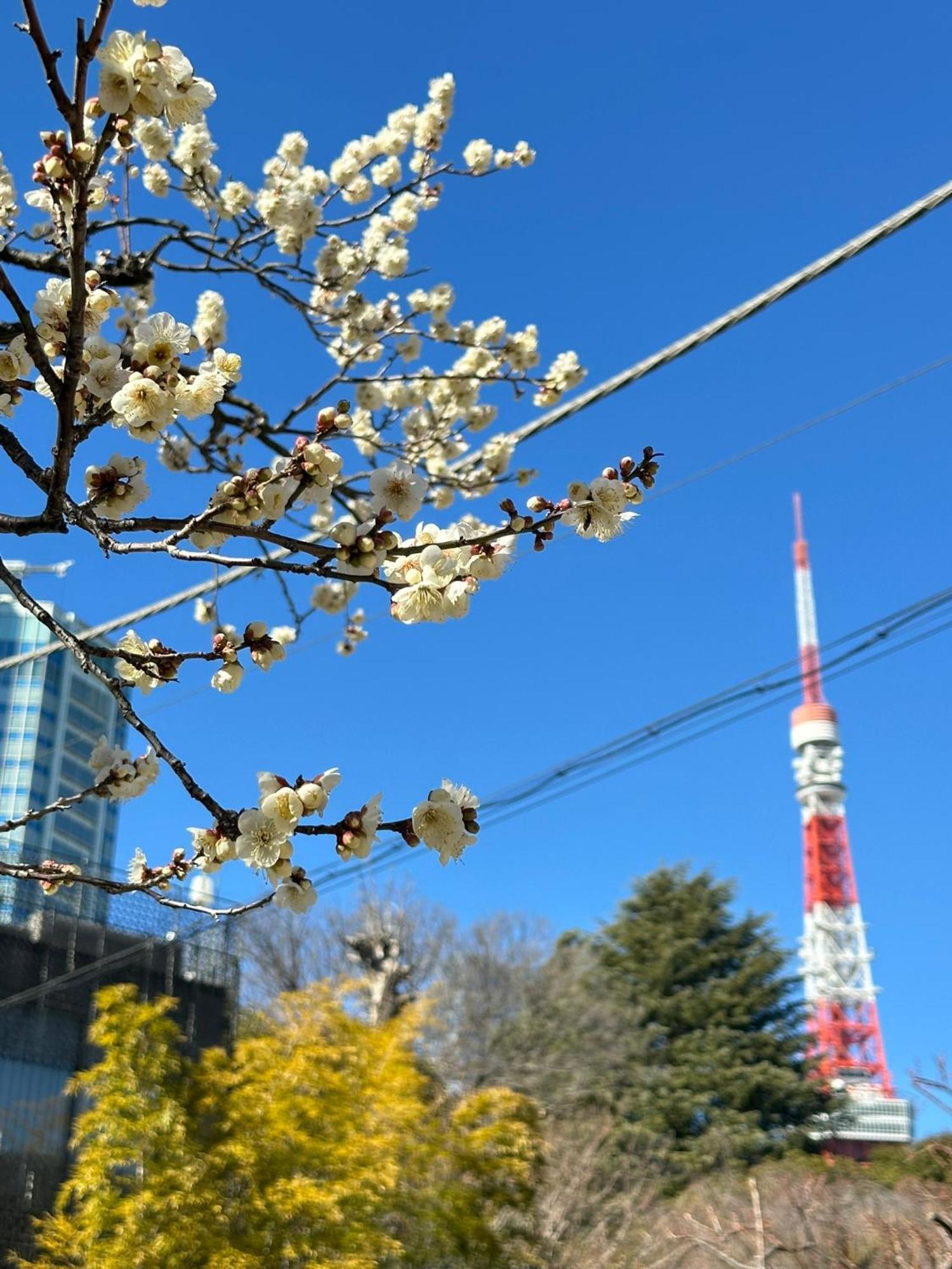 Rose Stay Tokyo Shiba Park Luaran gambar